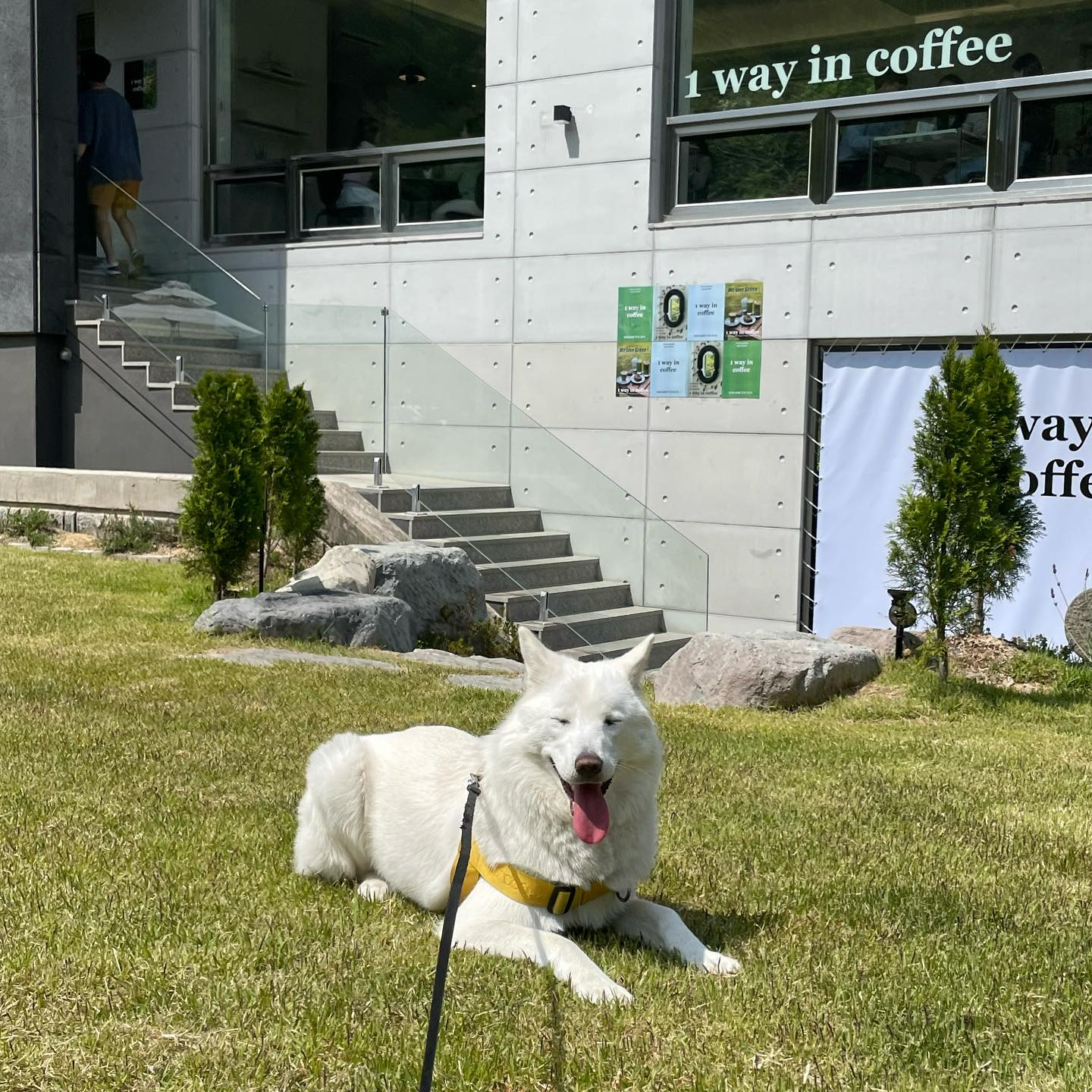1 way in coffee