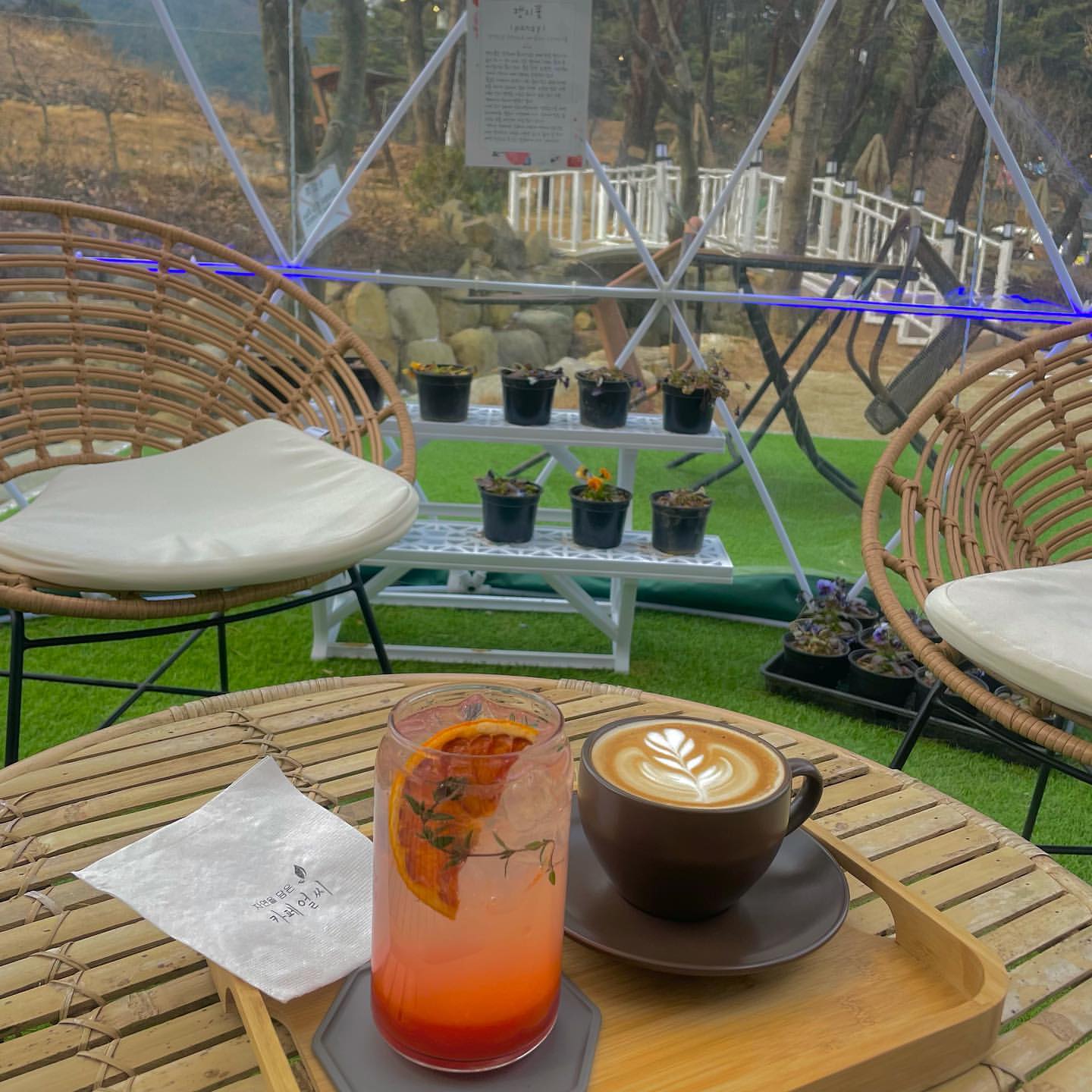 카페얼씨(Cafe Earthy)