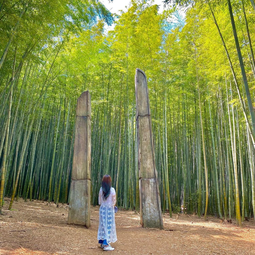 아홉산숲(Ahopsan Forest)'s picture