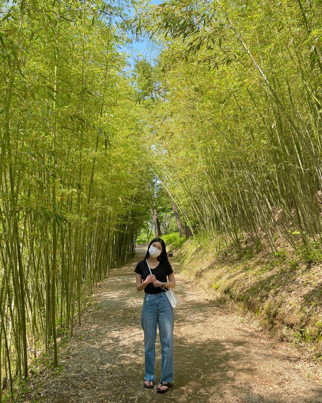 아홉산숲(Ahopsan Forest)'s picture