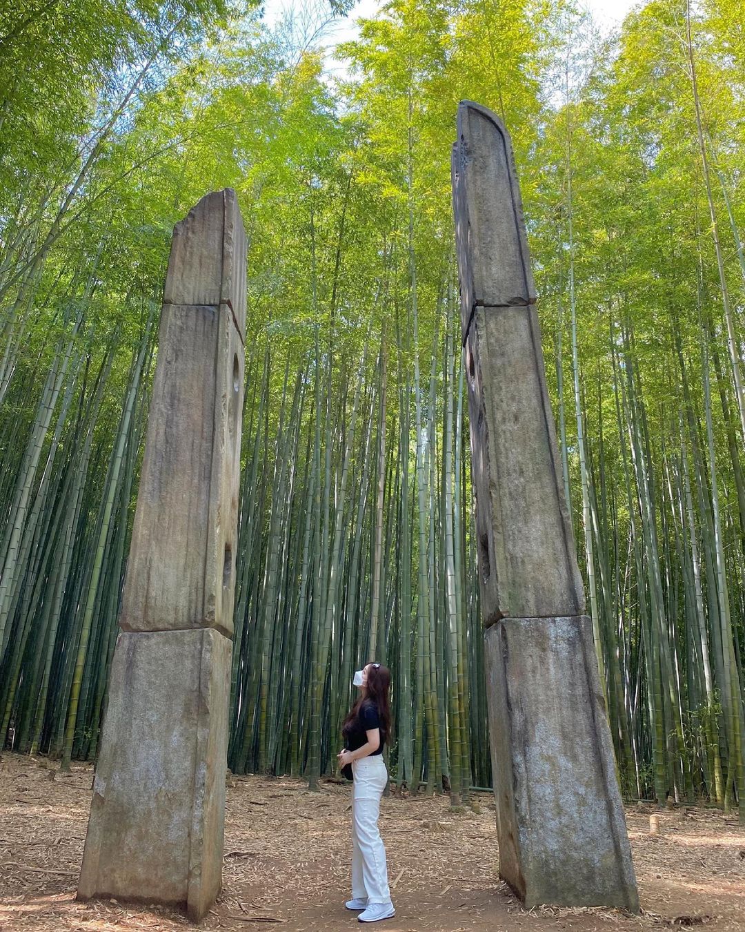 아홉산숲(Ahopsan Forest)'s picture