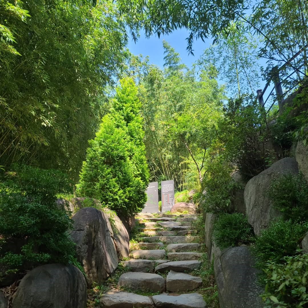 아홉산숲(Ahopsan Forest)'s picture