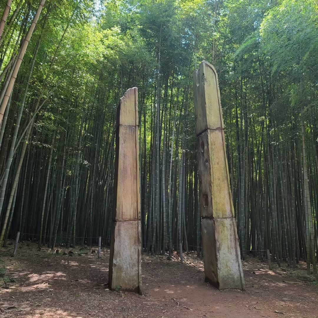 아홉산숲(Ahopsan Forest)'s picture