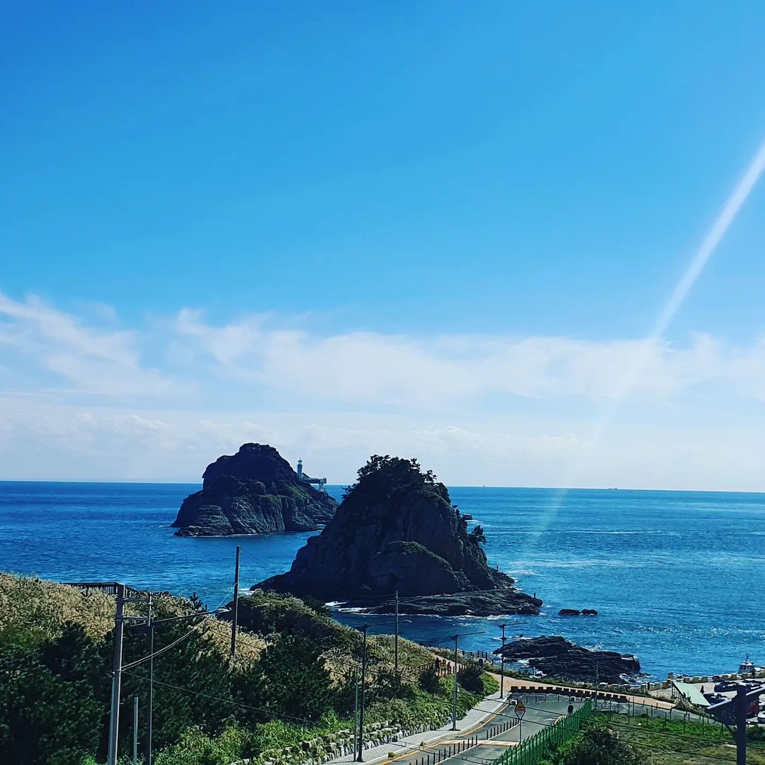 Nature Healing Tour in Busan