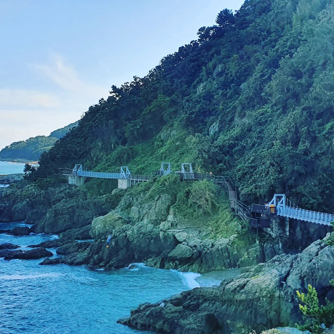 부산 자연 속 힐링 코스's picture