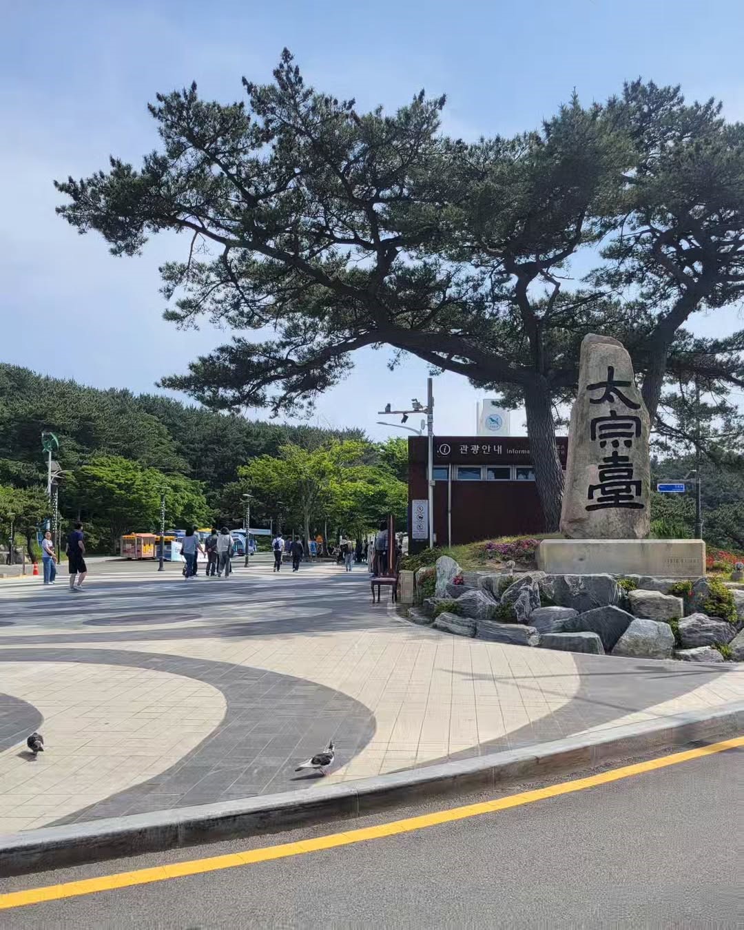 태종대(Taejongdae Resort Park, Busan)'s picture