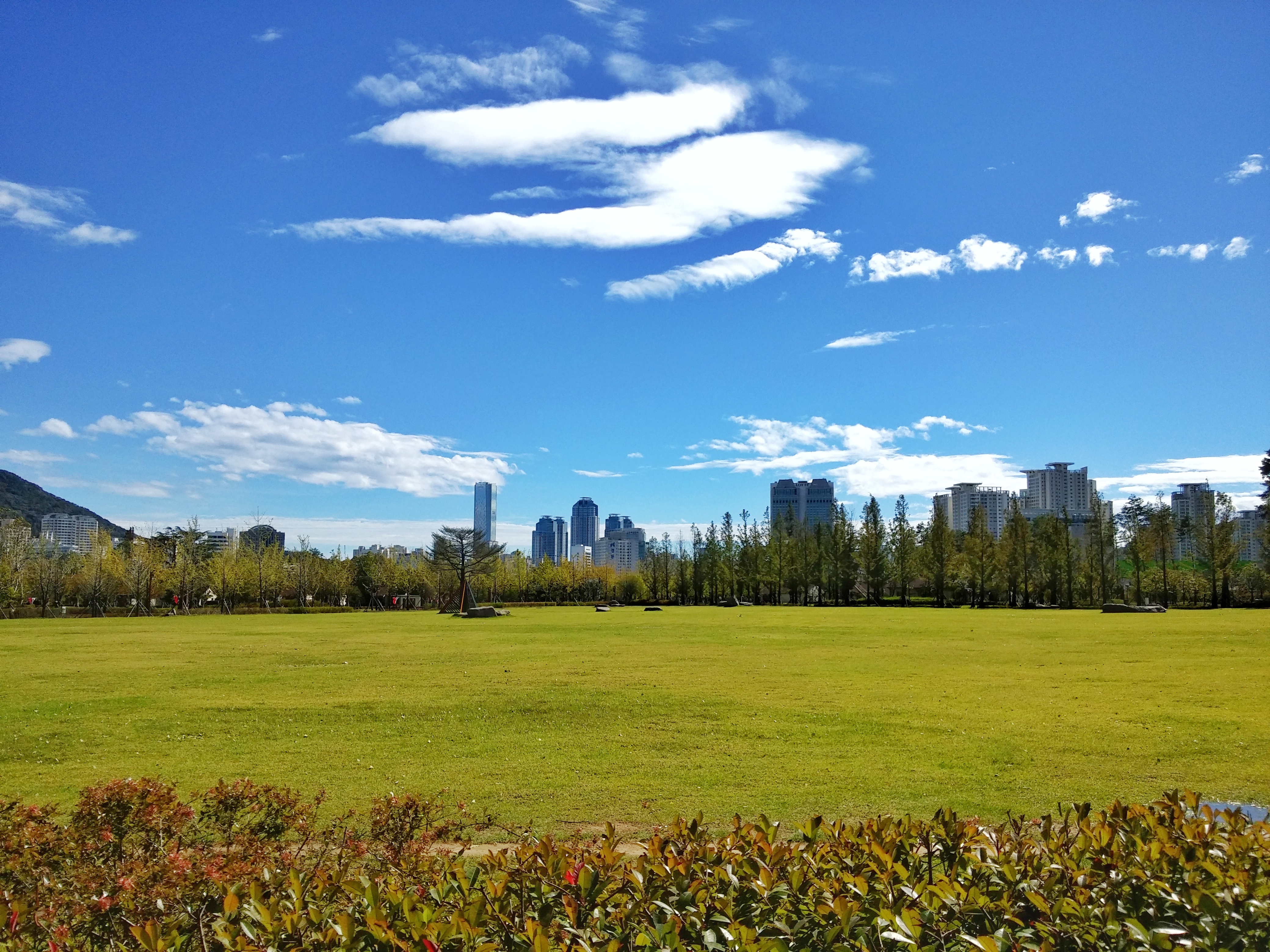 부산시민공원(Busan Citizens Park)'s picture