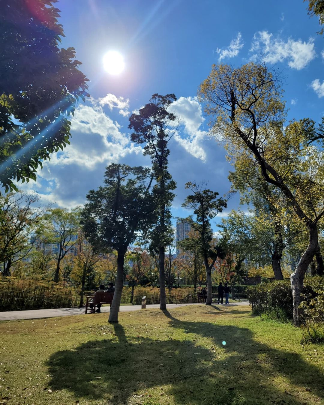 부산시민공원(Busan Citizens Park)'s picture
