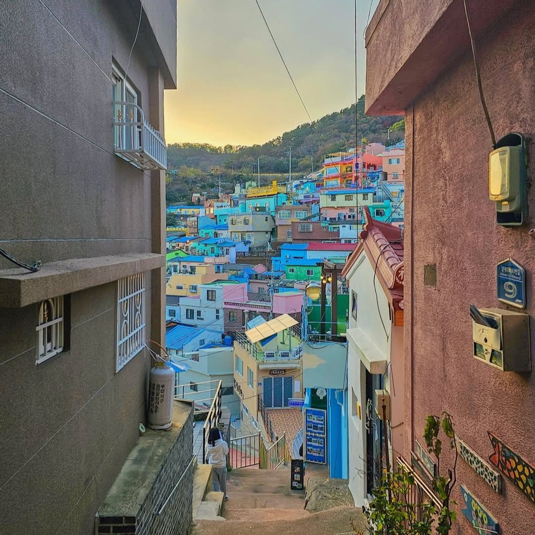 Busan Cityscape & Ocean View Highlights Tour