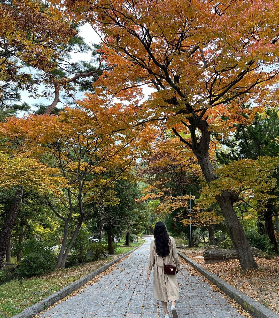부산 파노라마 뷰 & 도심 숲 힐링's picture