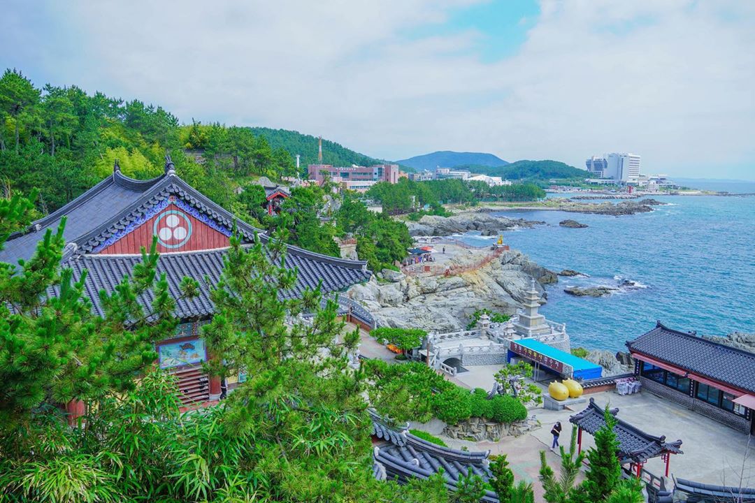 기장 숲 & 해안 원정 투어's picture