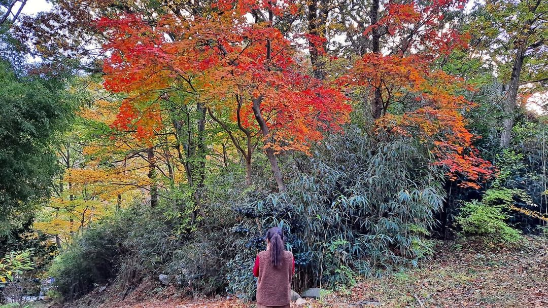 장안사