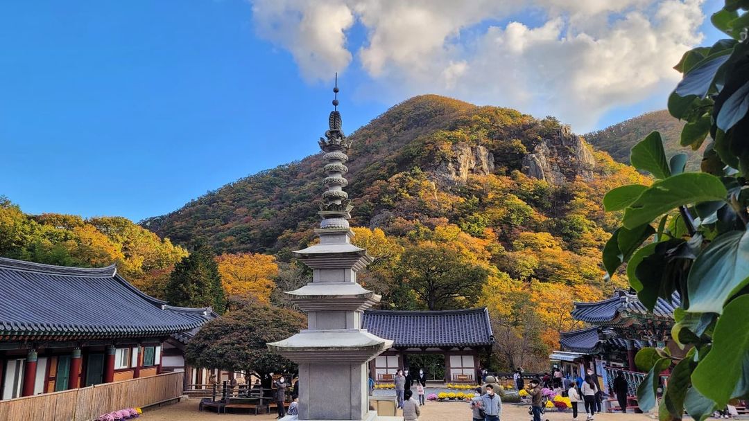 장안사
