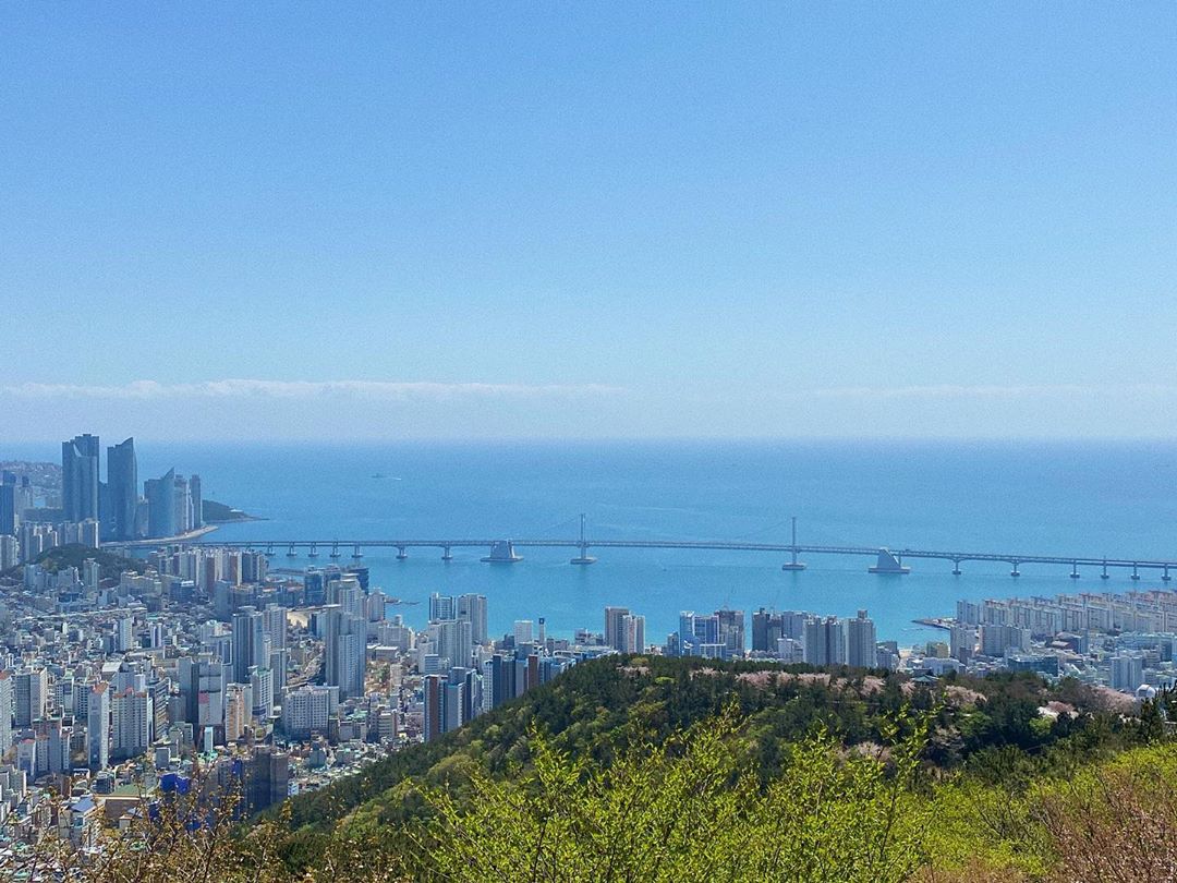 Panoramic Views & Urban Forest Healing in Busan