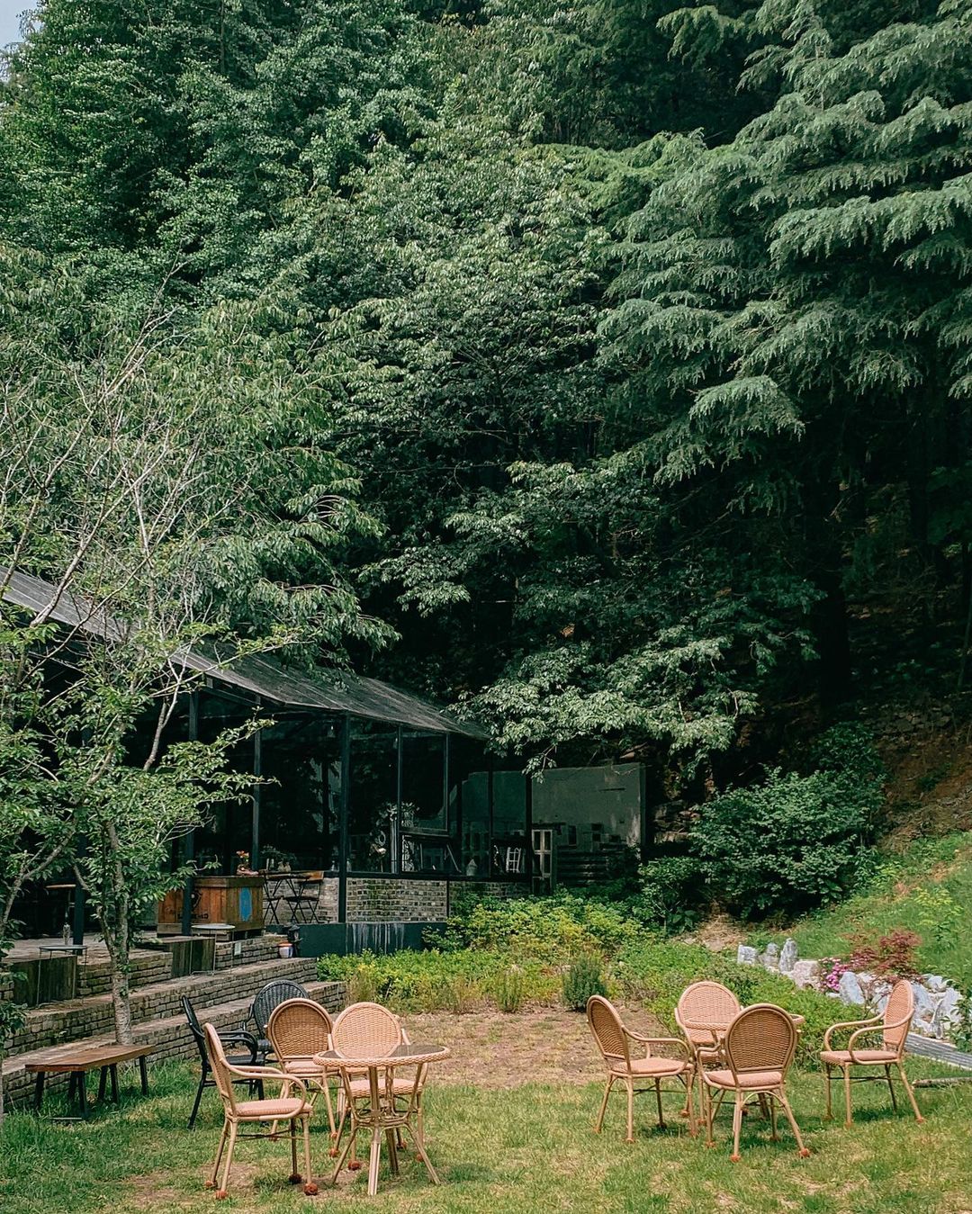 카페 만디(Cafe Mandi)