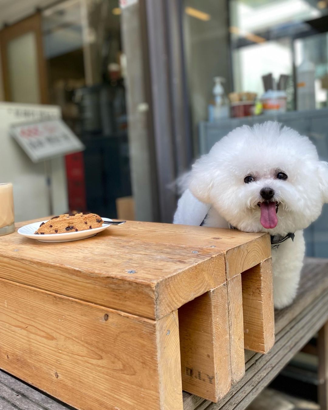 부산커피(Busan Coffee)
