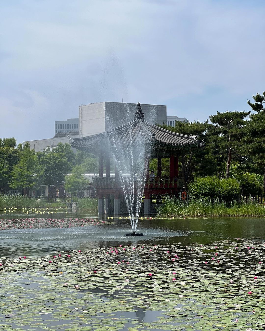 한밭수목원(Hanbat Arboretum)