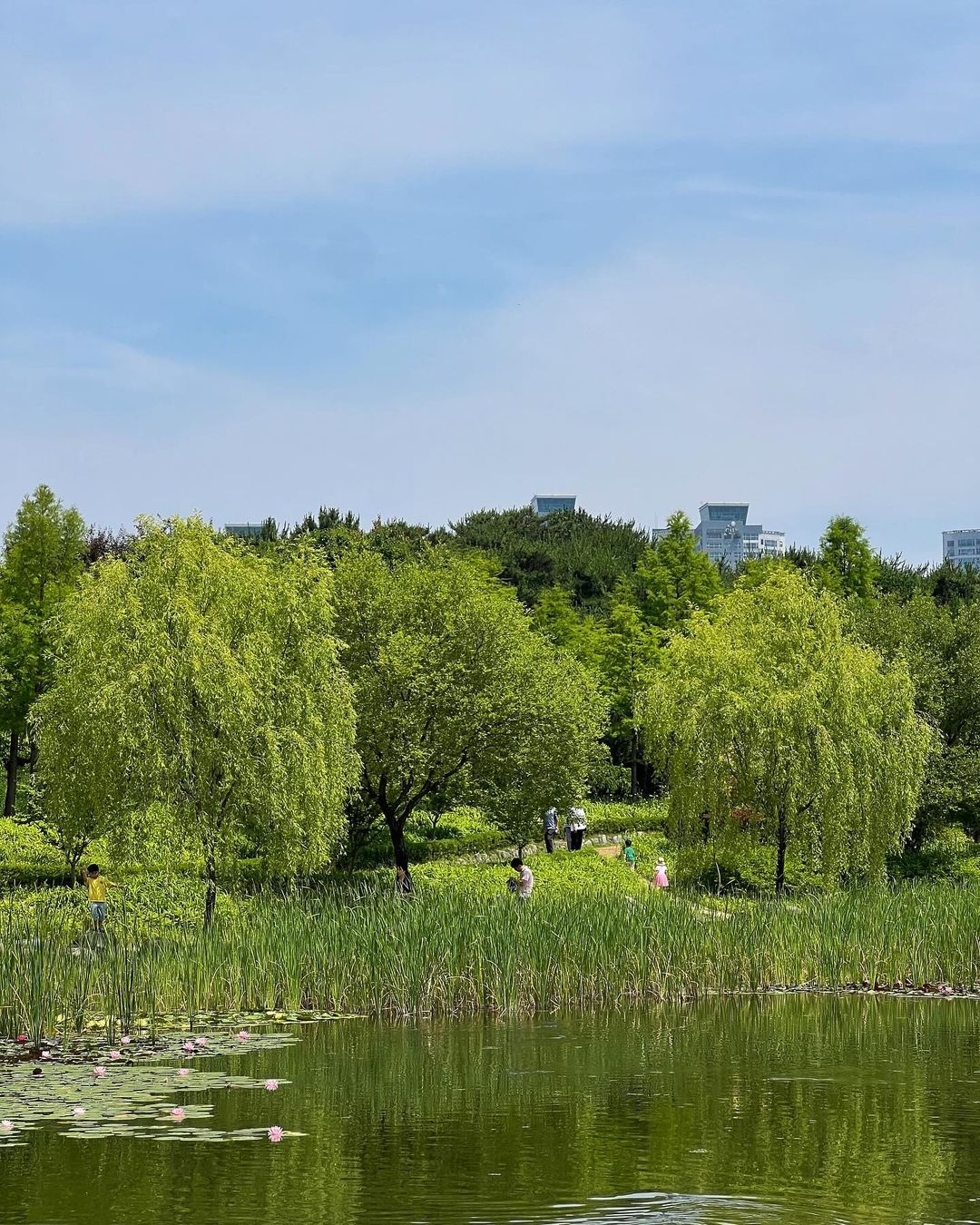 한밭수목원(Hanbat Arboretum)