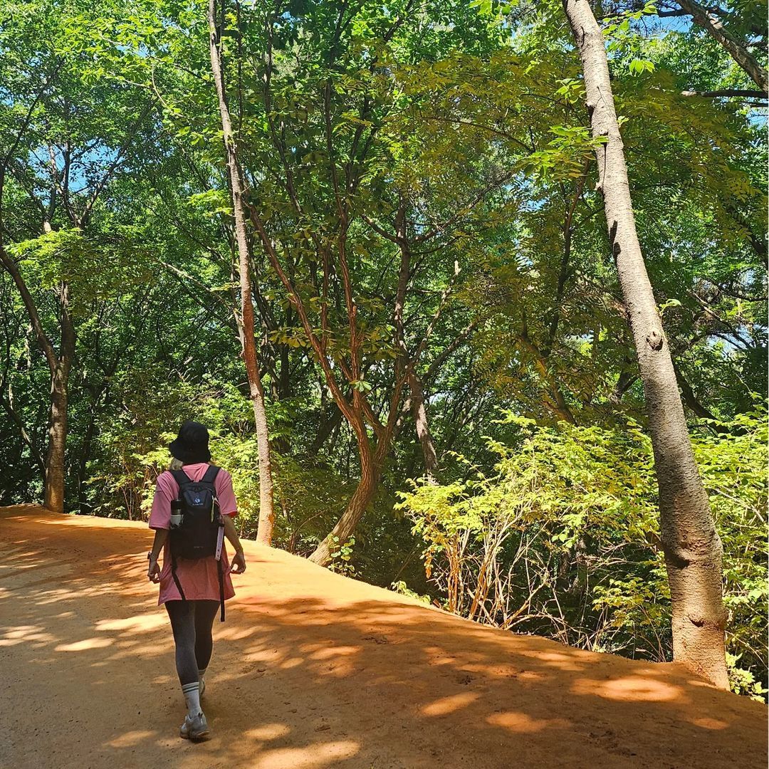 장동산림욕장(Jangdong Forest Bathing Area)'s picture