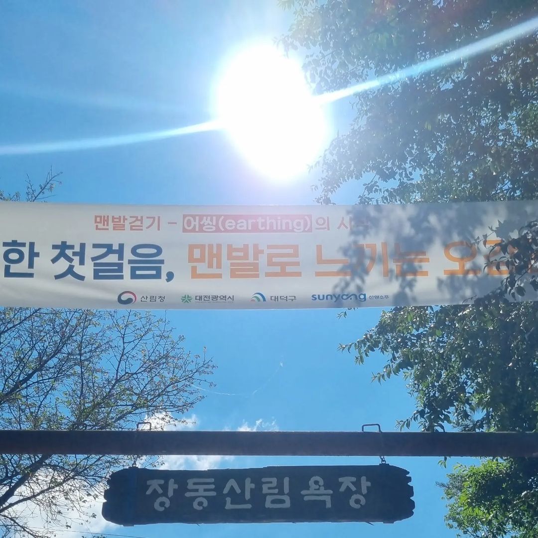 장동산림욕장(Jangdong Forest Bathing Area)'s picture