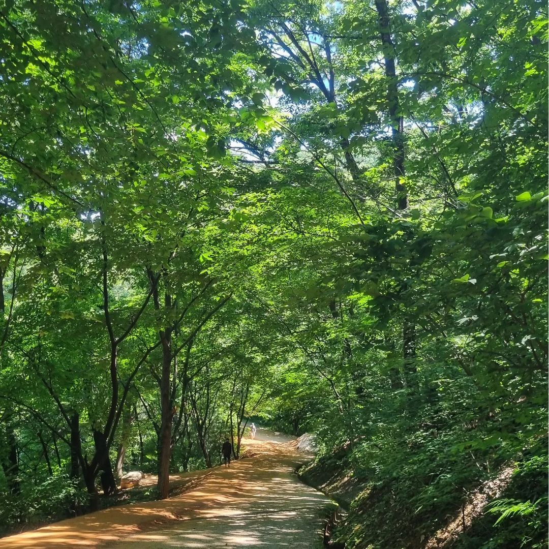 장동산림욕장(Jangdong Forest Bathing Area)'s picture