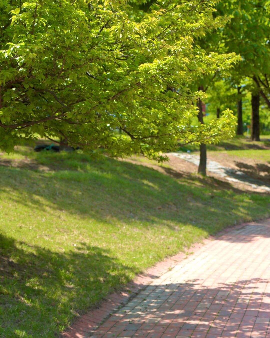 유림공원(Yurim Park)'s picture