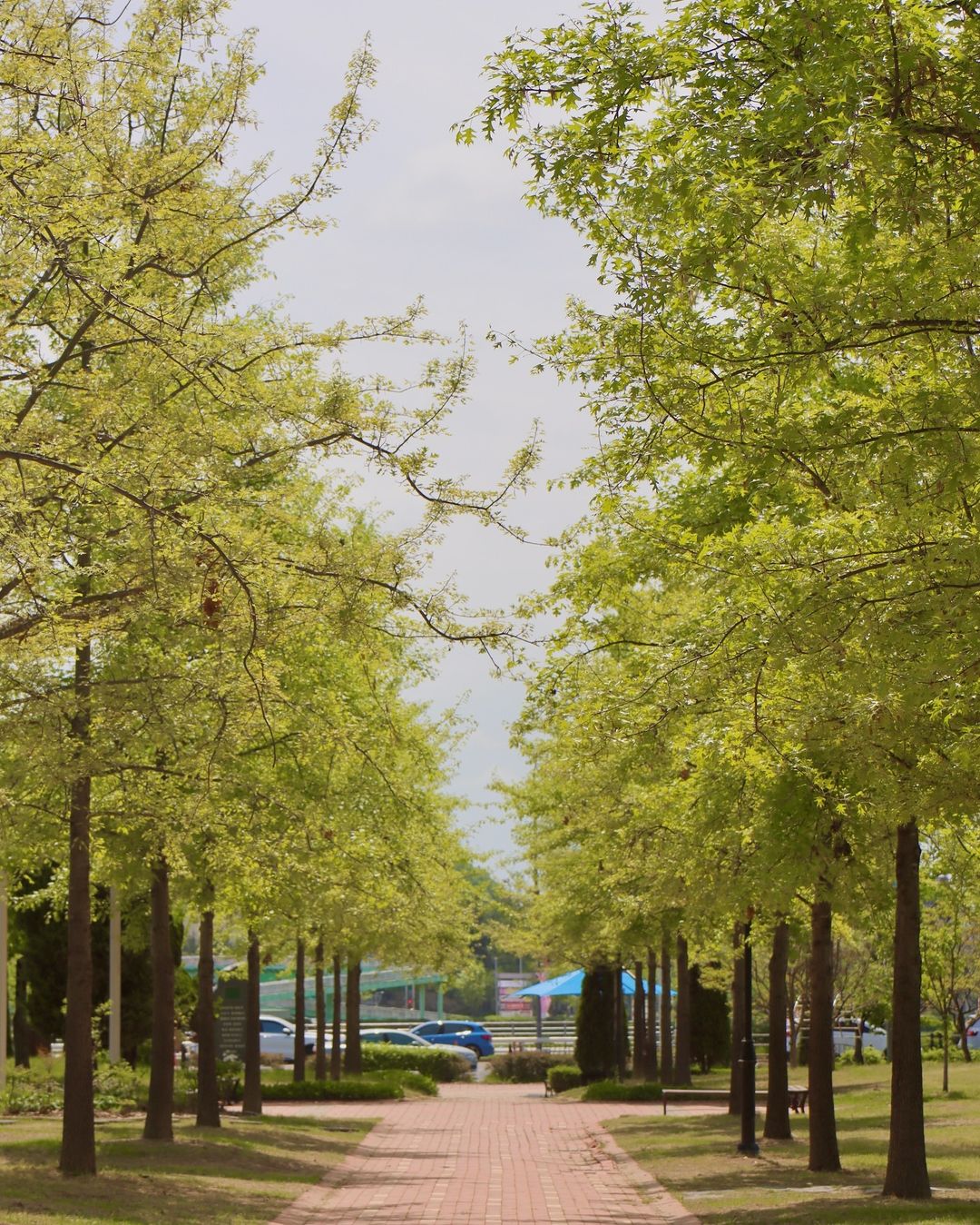 유림공원(Yurim Park)'s picture