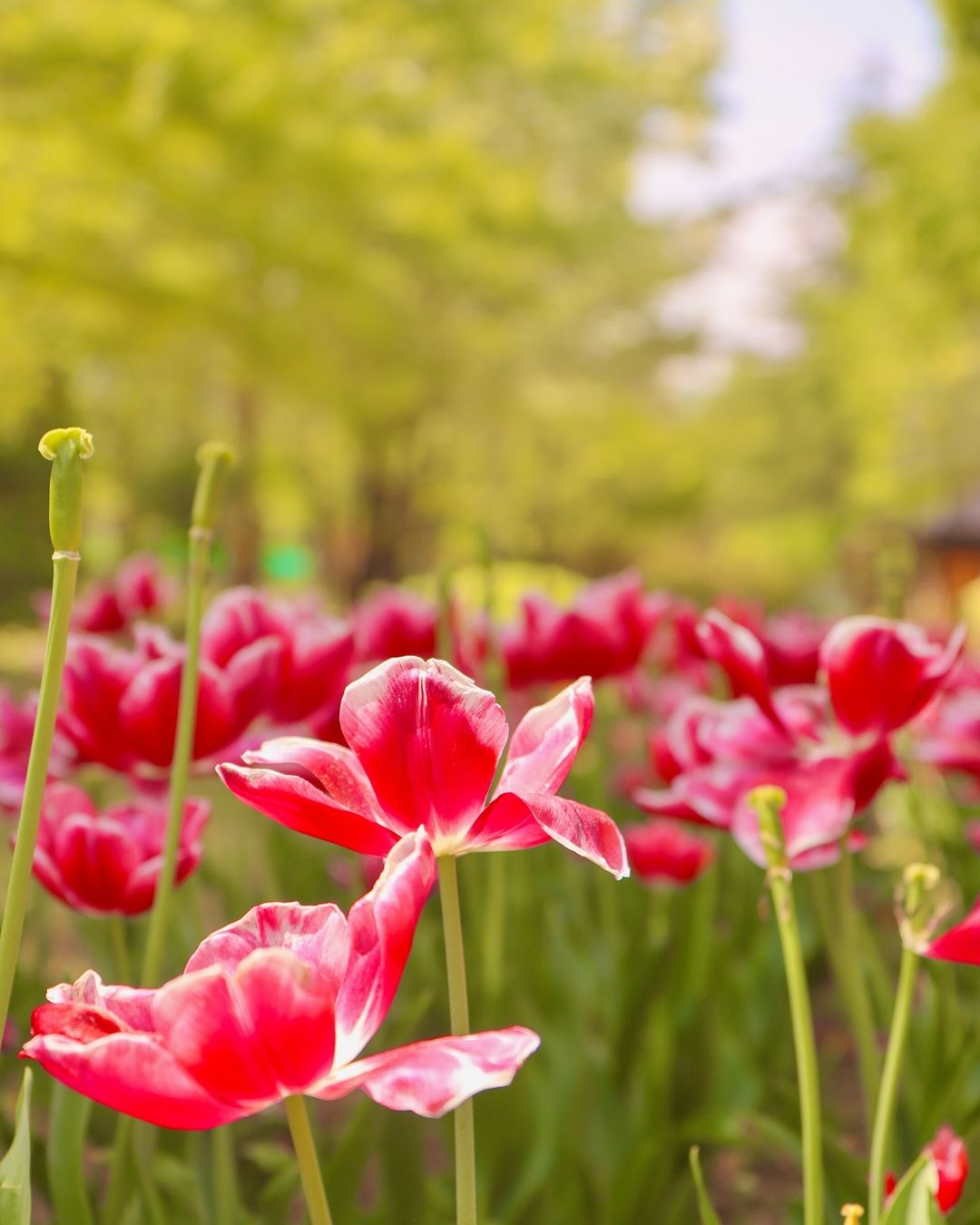 유림공원(Yurim Park)'s picture
