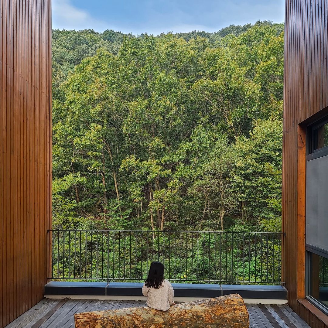 국립대전숲체원(National Daejeon Forest Center)'s picture