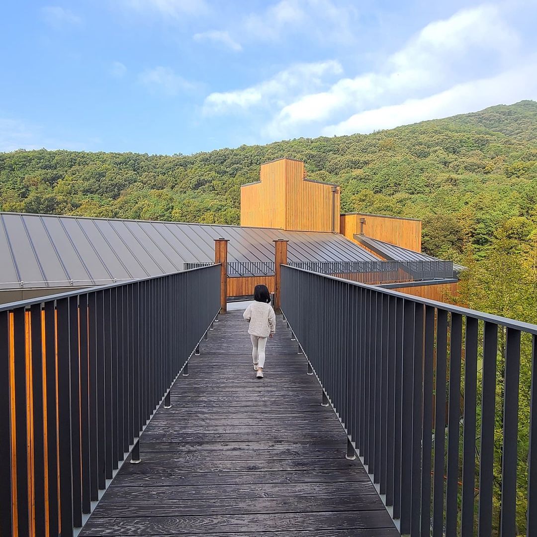 국립대전숲체원(National Daejeon Forest Center)'s picture