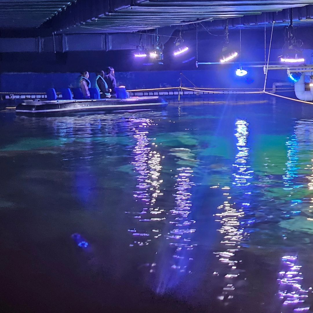 대전엑스포아쿠아리움