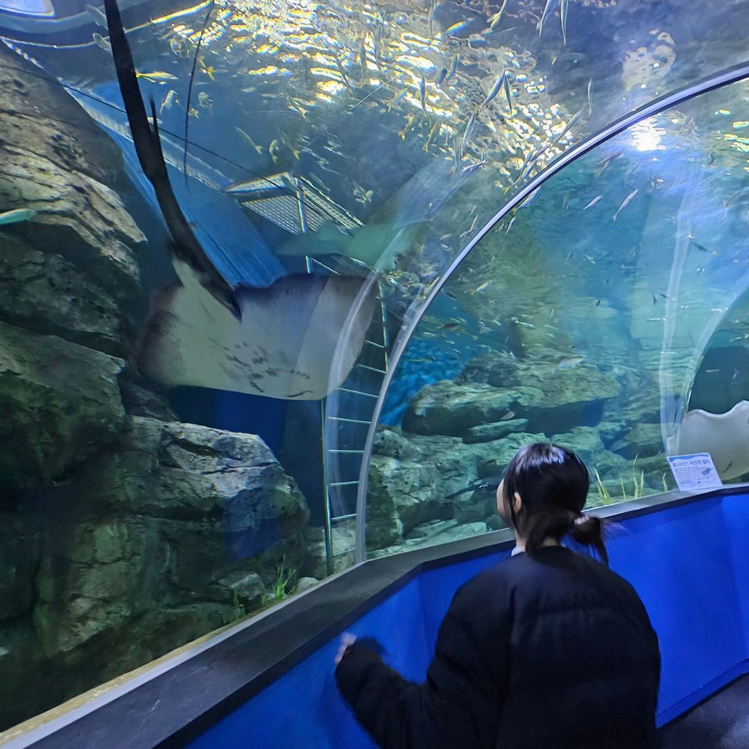 대전엑스포아쿠아리움