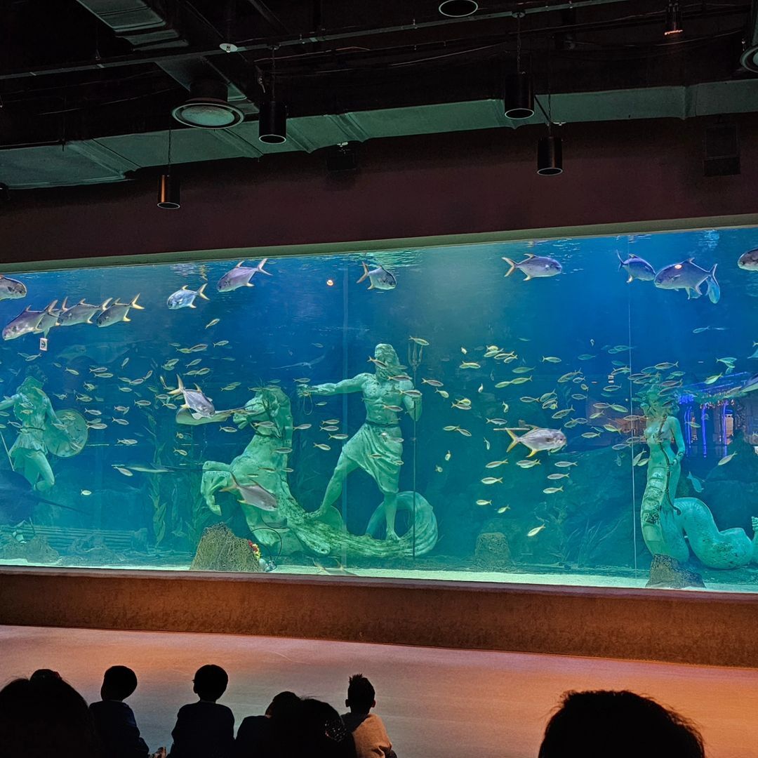 대전엑스포아쿠아리움