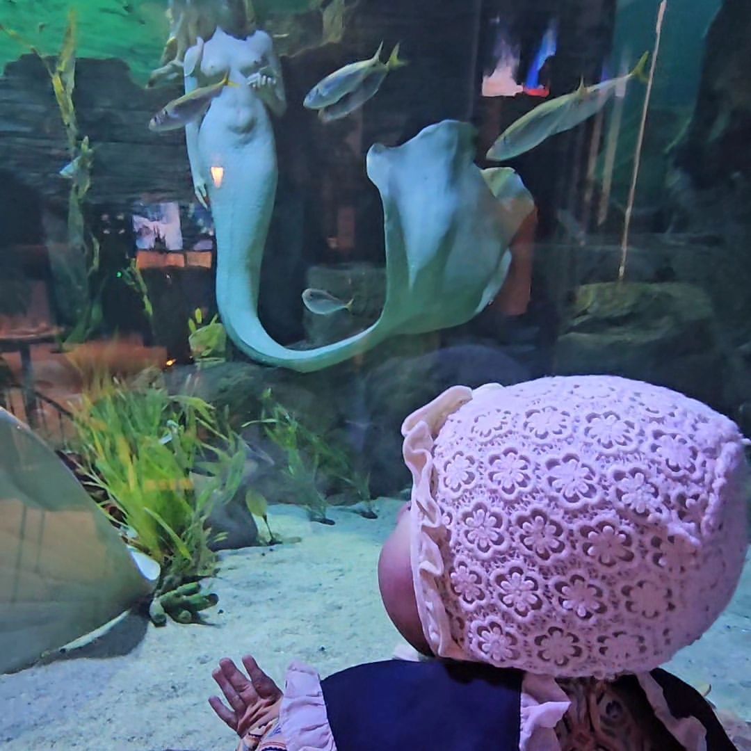 대전엑스포아쿠아리움