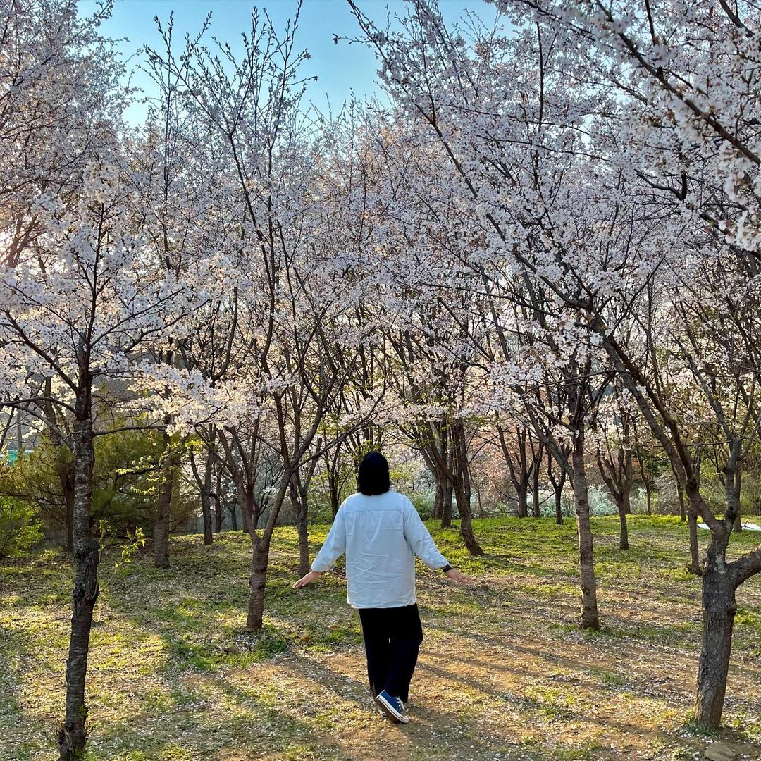 세천공원(Secheon Park)'s picture