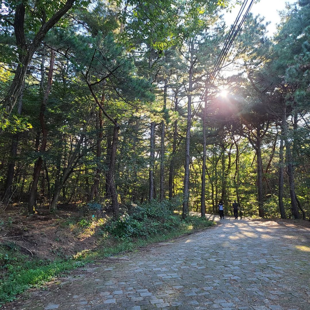 내원사(Naewonsa)'s picture