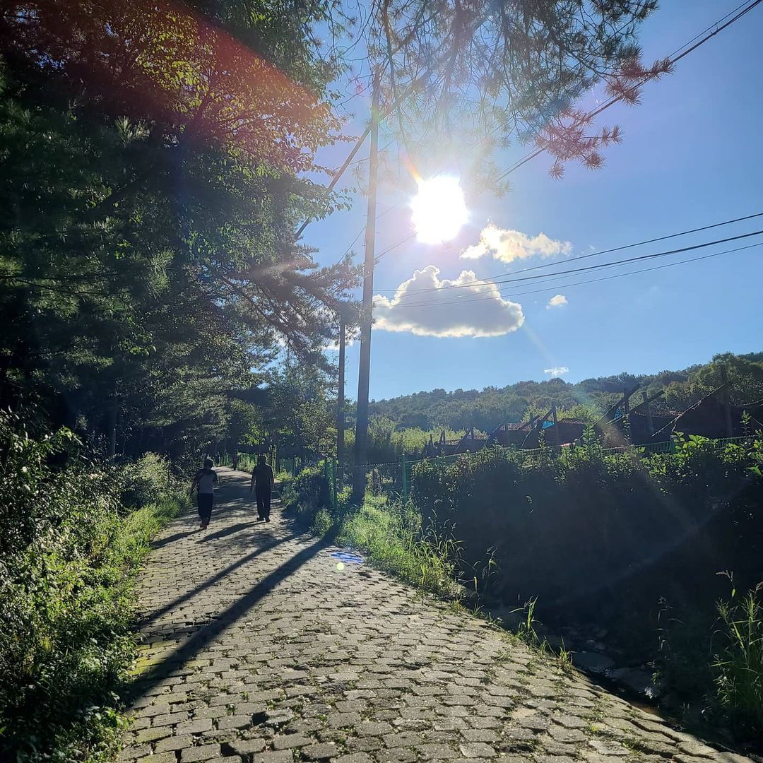 내원사(Naewonsa)'s picture