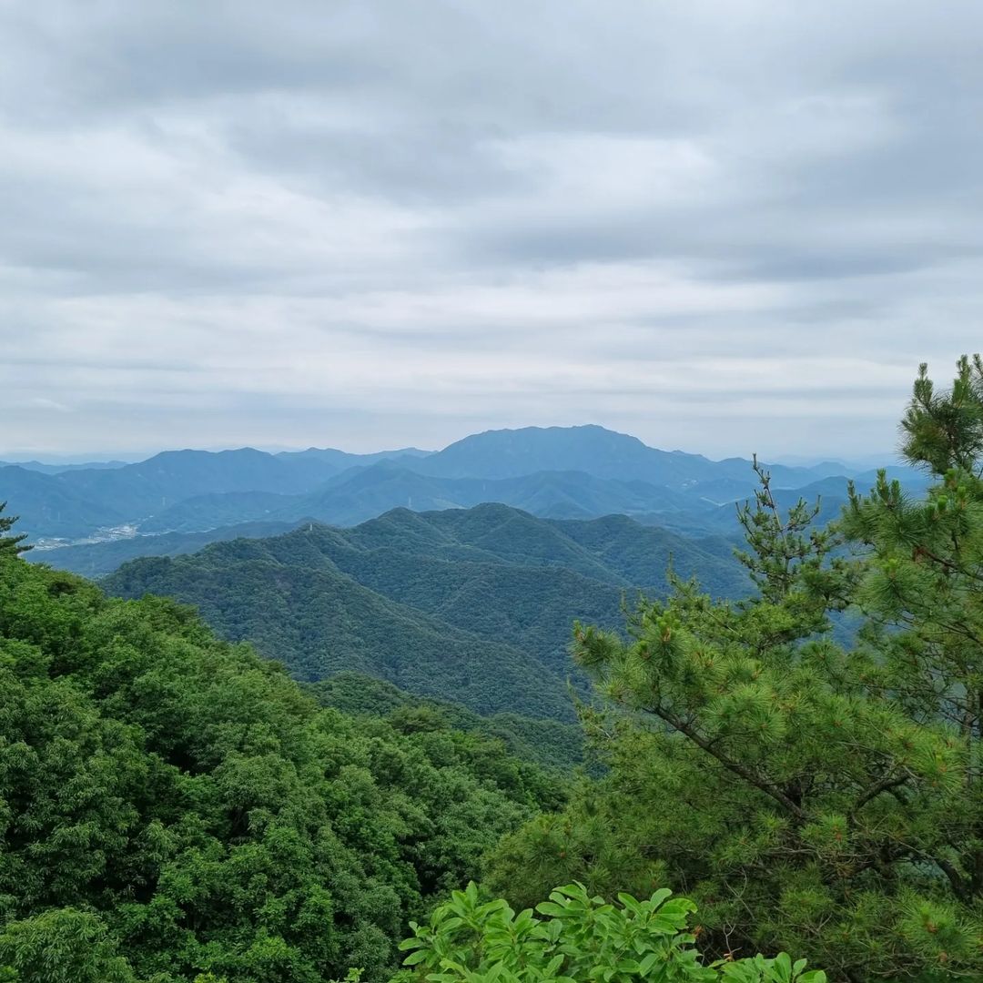 식장산해돋이전망대(Sikjangsan Sunrise Observatory)'s picture