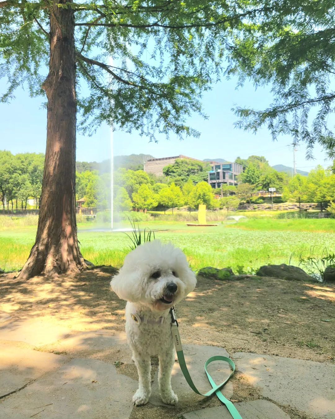 Daejeon Trip: Enjoy Traditional Hanok and Nature