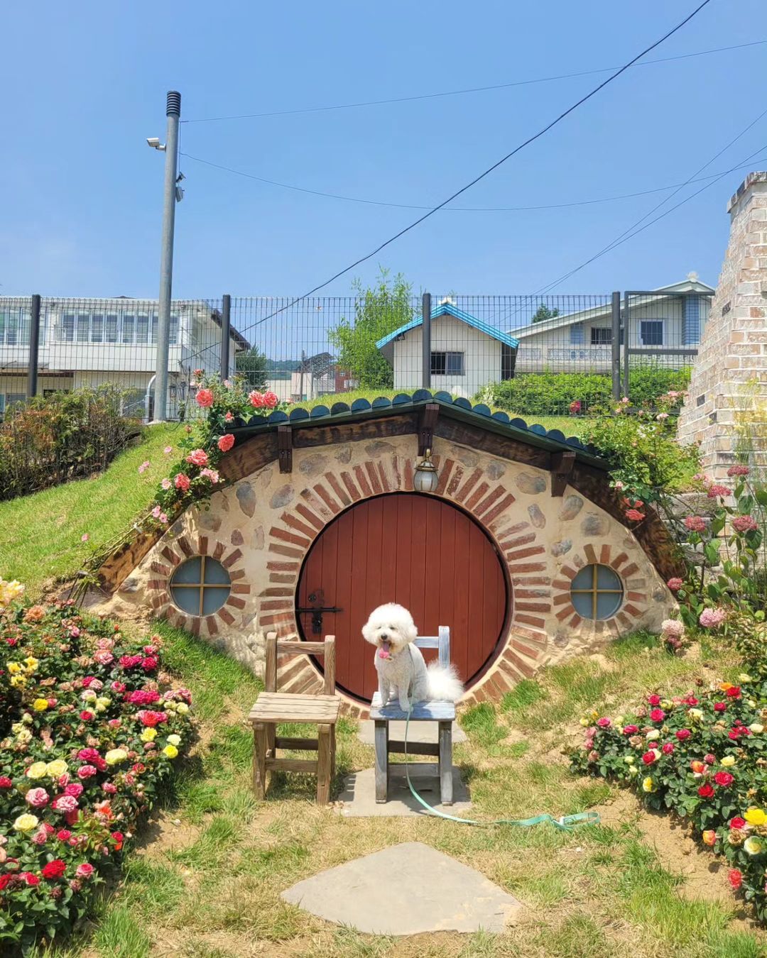 대청호반자연수변공원(Daecheong Lake Eco Park)