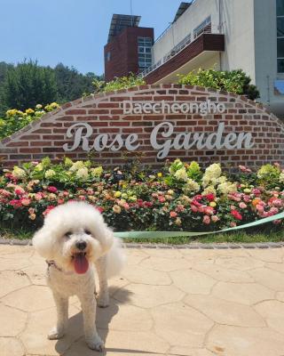 Daejeon Trip: Enjoy Traditional Hanok and Nature