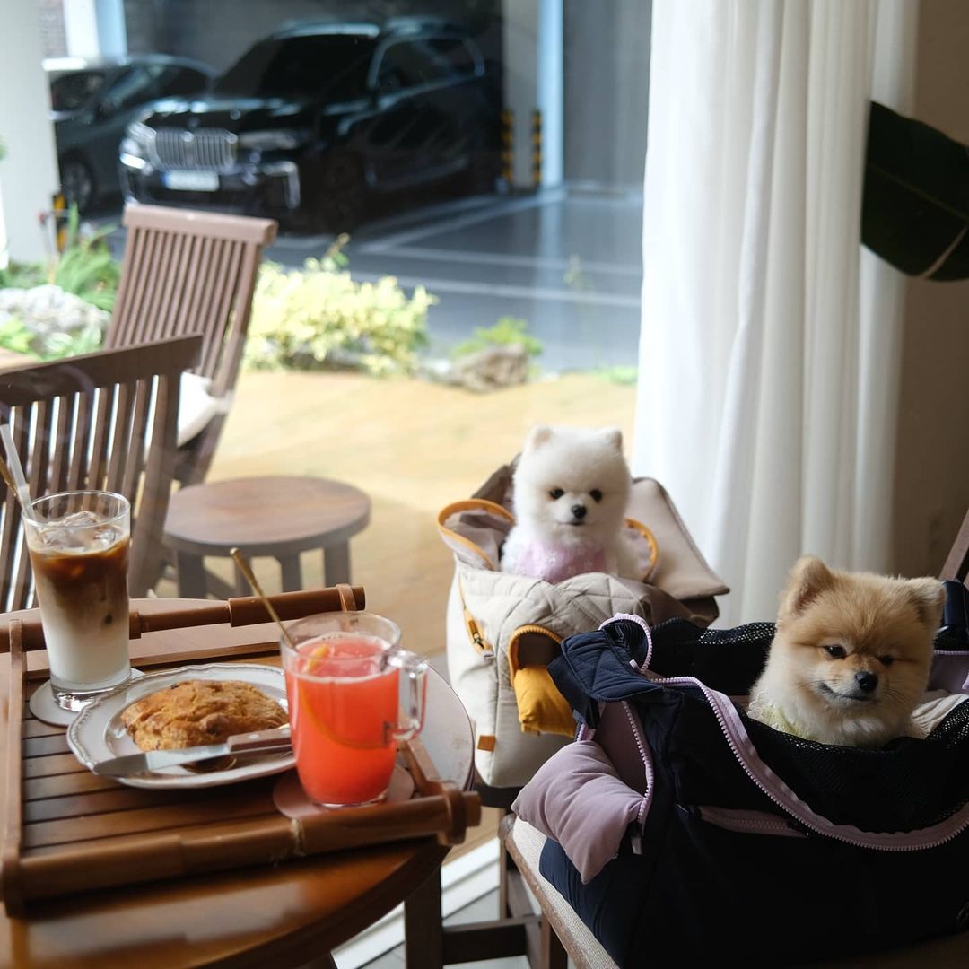 슬로윈드(Slowind)