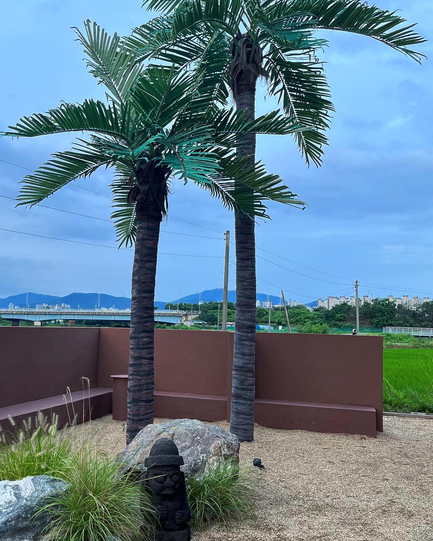 제주미작(Jeju Mijak)