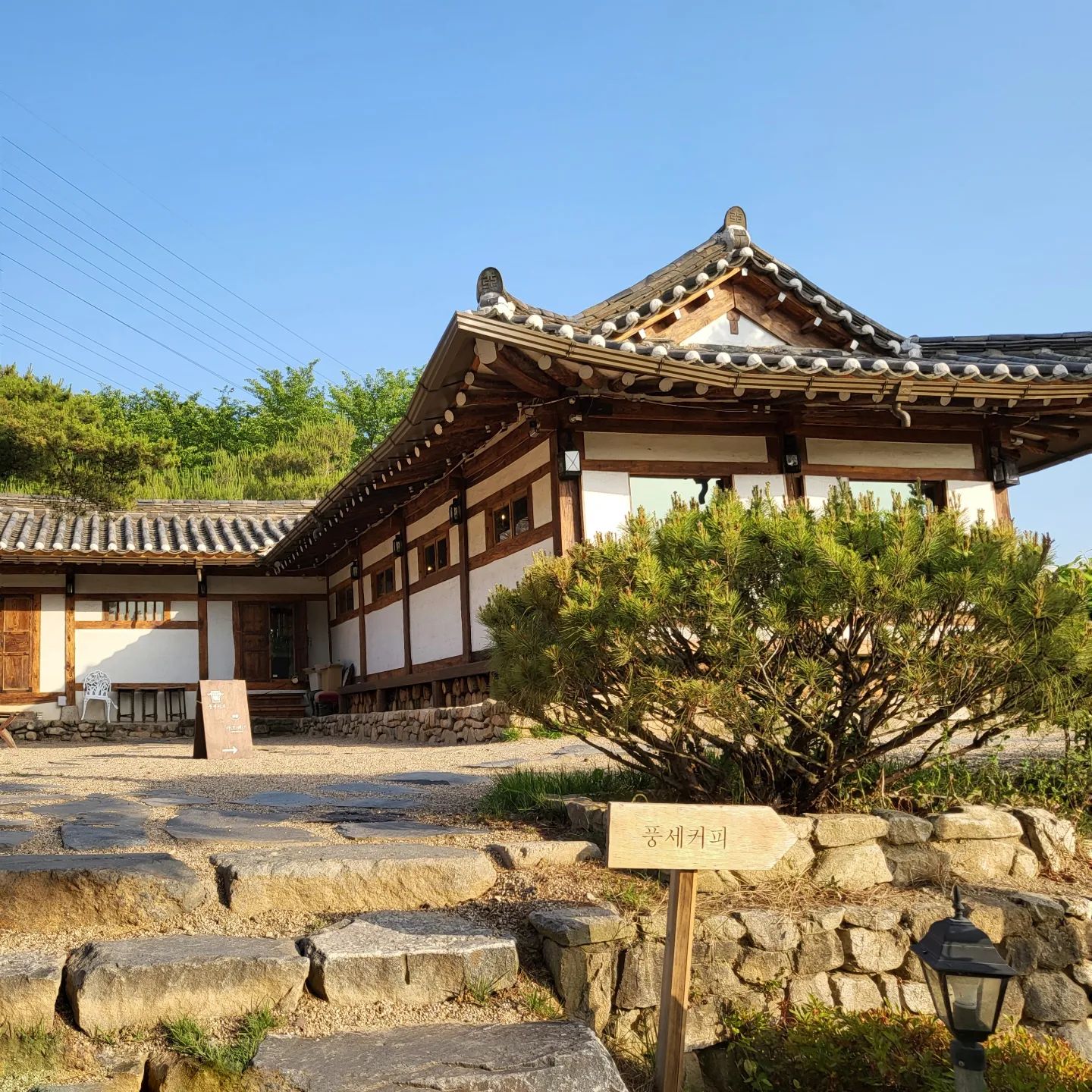 풍세커피(pungse coffee)