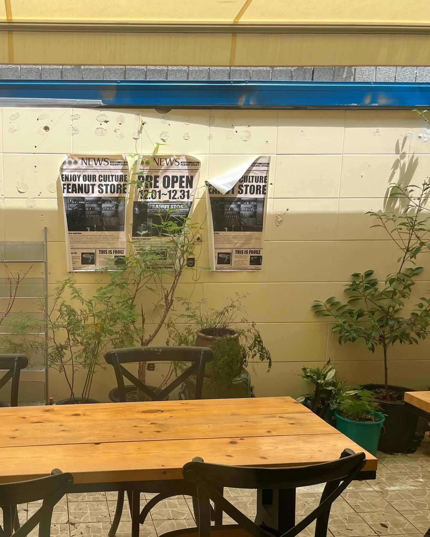 피넛스토어(FEANUT STORE)