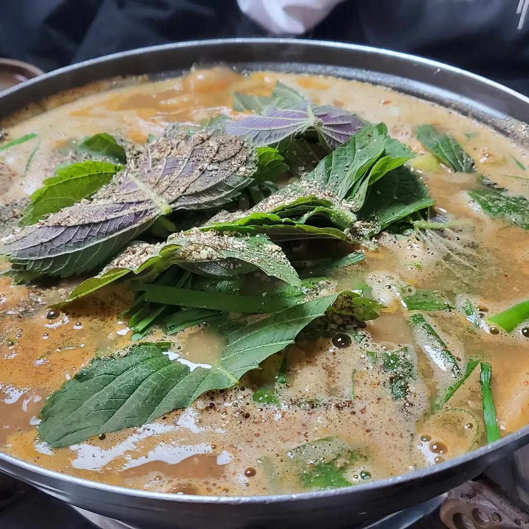 광천원조어죽's picture