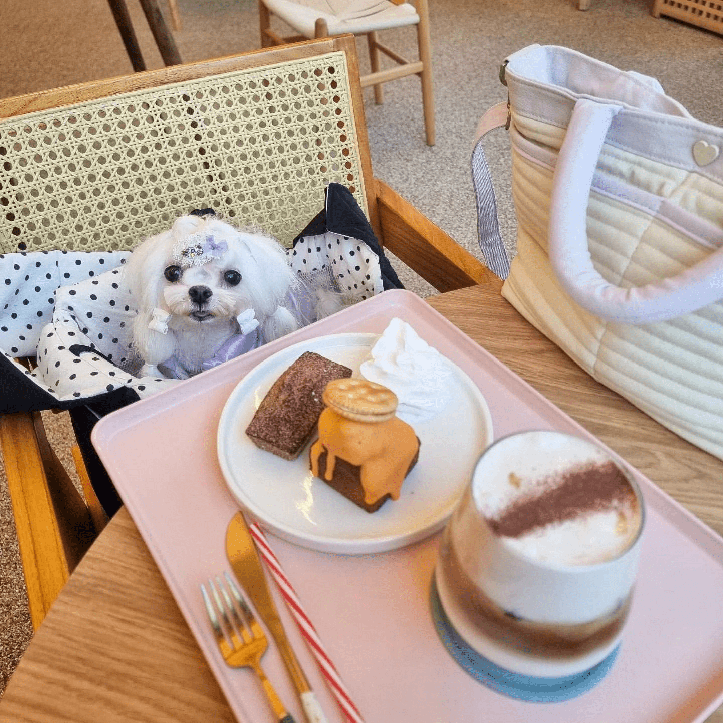 모망포포(Momangpopo)