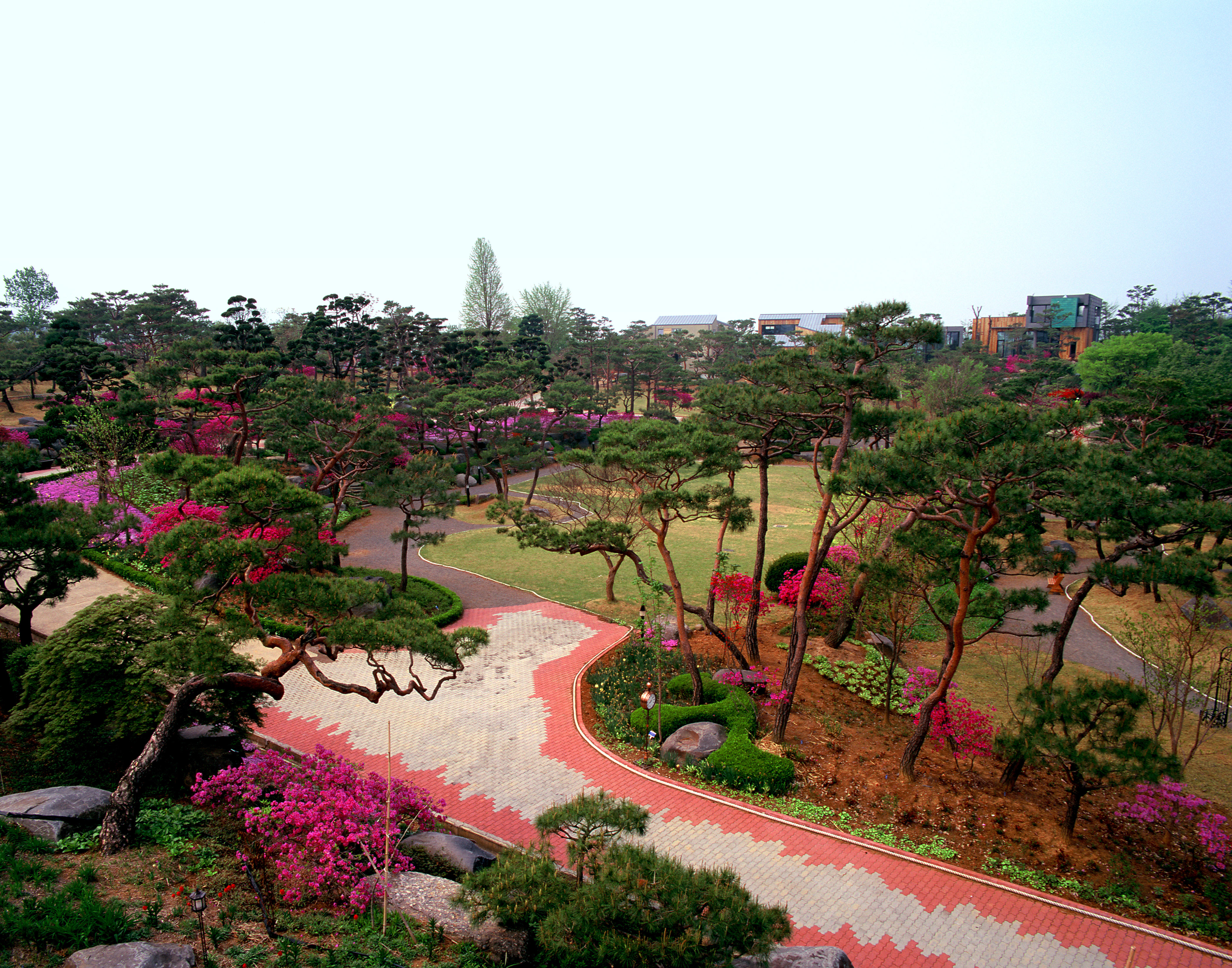 그림 같은 수목원's picture