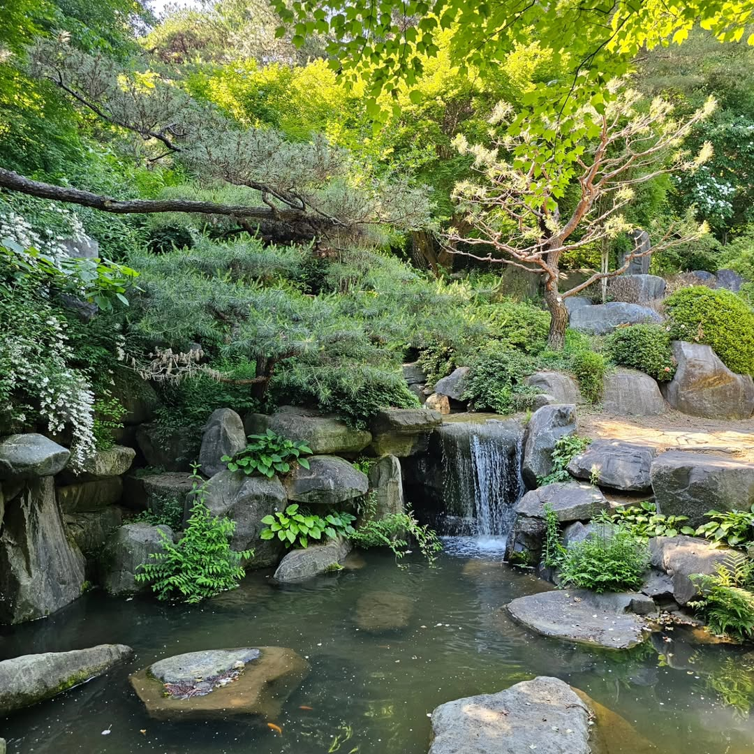 그림 같은 수목원's picture