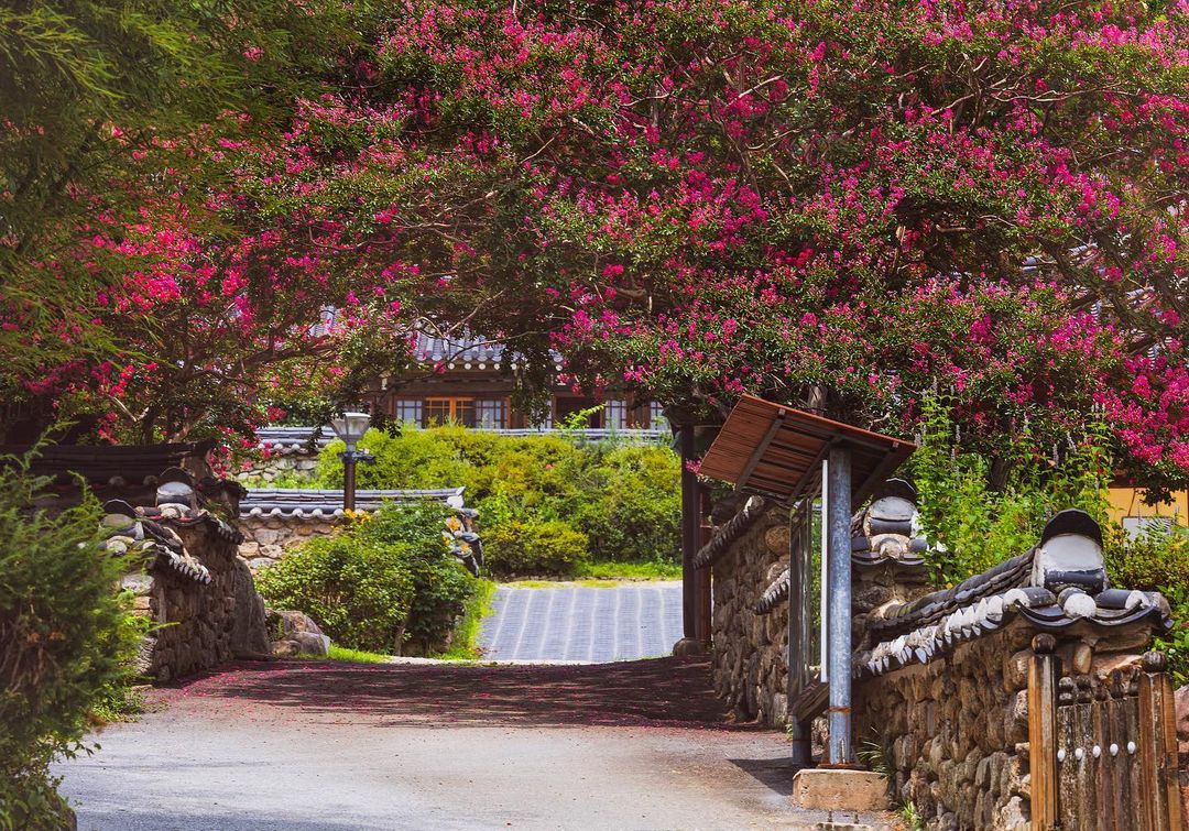 Basic Tour Visiting Only Gokseong's Core Attractions